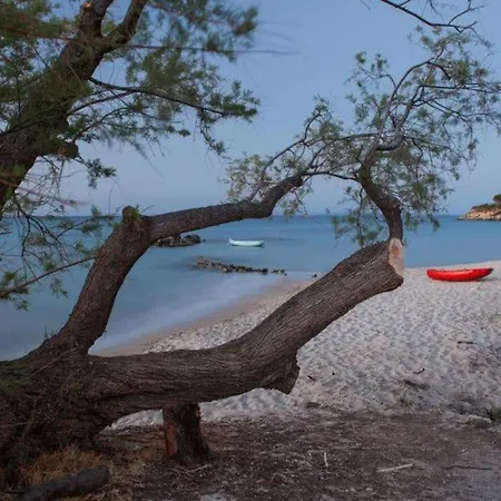 Relaxing Sea View Studio At Xenios Avlais Appartement